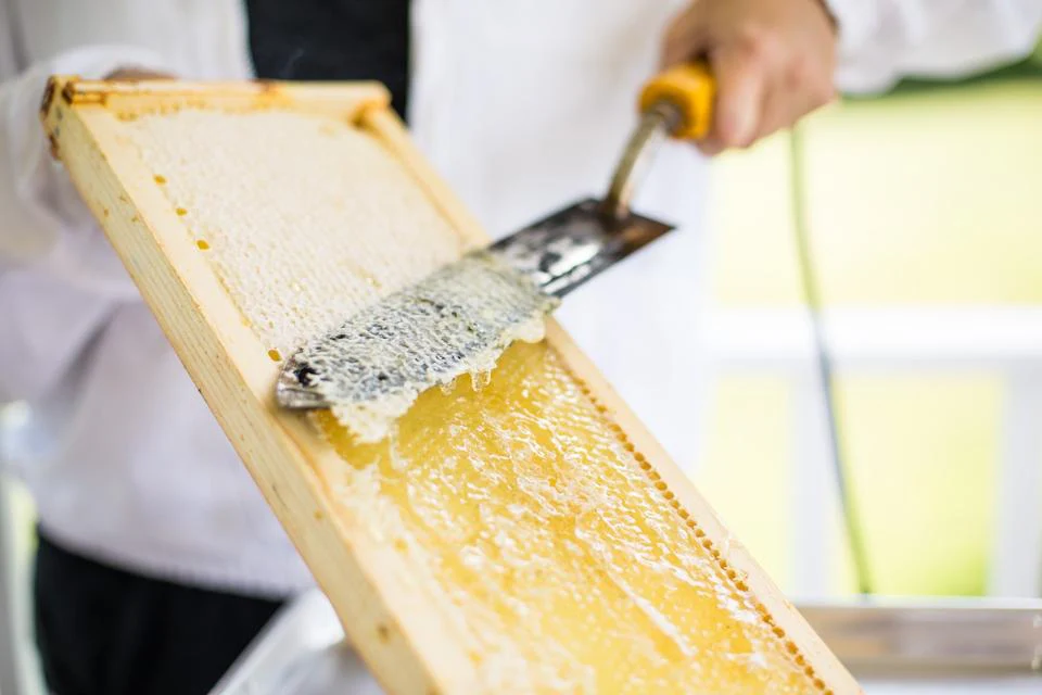 Pure Artisan Honey & Beeswax